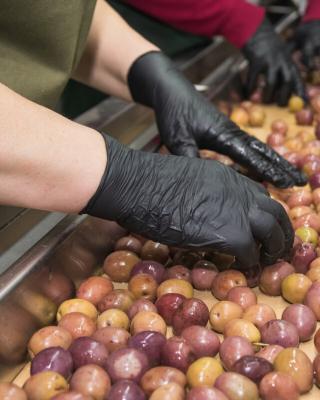 Ariana olives, Black Olives, Green Olives, Kalamata Olives , Pickles, Olive Oil, Seeds Oil , Traditional Olive Grove , Wholesale Olives , Greek Olives , Greek Products