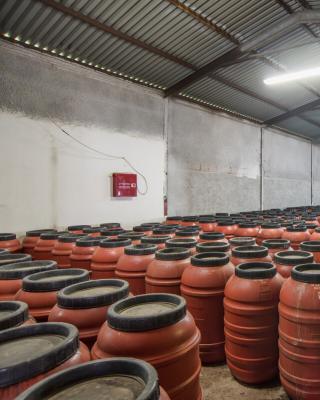 Ariana olives, Black Olives, Green Olives, Kalamata Olives , Pickles, Olive Oil, Seeds Oil , Traditional Olive Grove , Wholesale Olives , Greek Olives , Greek Products