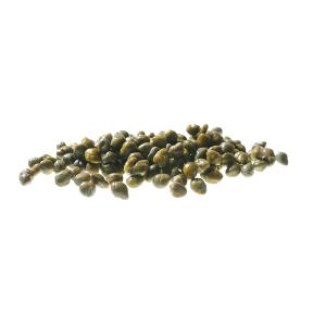 Capers Pickles Ariana olives, Black Olives, Green Olives, Kalamata Olives , Pickles, Olive Oil, Seeds Oil , Traditional Olive Grove , Wholesale Olives , Greek Olives , Greek Products Capers Pickles Ariana olives, Black Olives, Green Olives, Kalamata Olives , Pickles, Olive Oil, Seeds Oil , Traditional Olive Grove , Wholesale Olives , Greek Olives , Greek Products