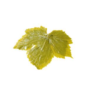Cretan Vine Leaves Ariana olives, Black Olives, Green Olives, Kalamata Olives , Pickles, Olive Oil, Seeds Oil , Traditional Olive Grove , Wholesale Olives , Greek Olives , Greek Products Cretan Vine Leaves Ariana olives, Black Olives, Green Olives, Kalamata Olives , Pickles, Olive Oil, Seeds Oil , Traditional Olive Grove , Wholesale Olives , Greek Olives , Greek Products