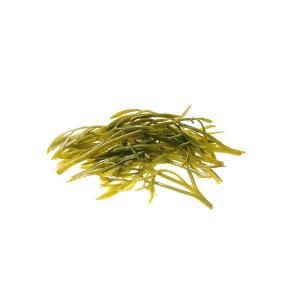 Rock Samphire of Chalkidiki Ariana olives, Black Olives, Green Olives, Kalamata Olives , Pickles, Olive Oil, Seeds Oil , Traditional Olive Grove , Wholesale Olives , Greek Olives , Greek Products